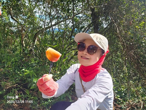 20251229石龜坑山上白石山下白石埤O走+阿姆坪2976680