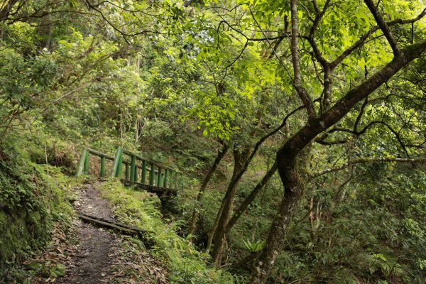 瓦拉米：登山口至山屋178745