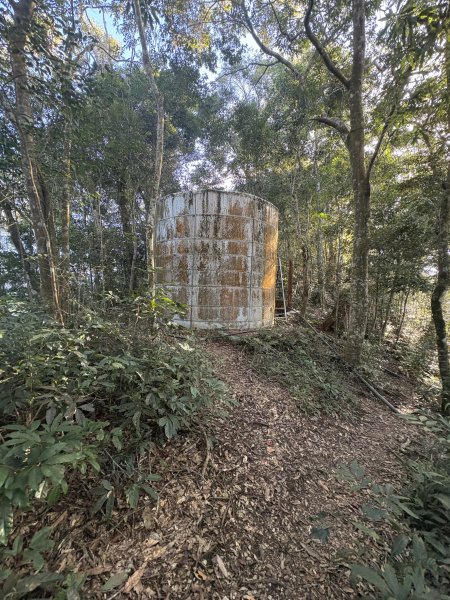 20251207藤枝山步道2957626