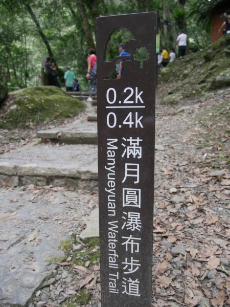 三峽滿月圓國家森林步道1053619