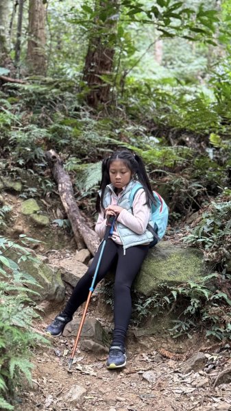 20250101內鳥嘴山北得拉曼步道2681570
