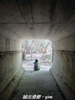 【台中大肚】大肚萬里長城登山步道3023844