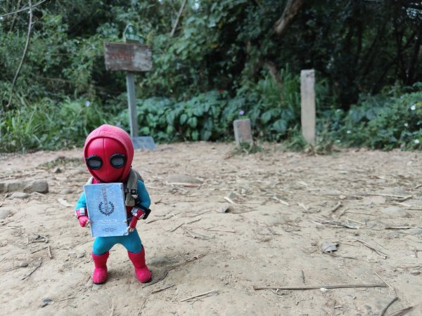 2023.12.23 高雄大崗山2834934