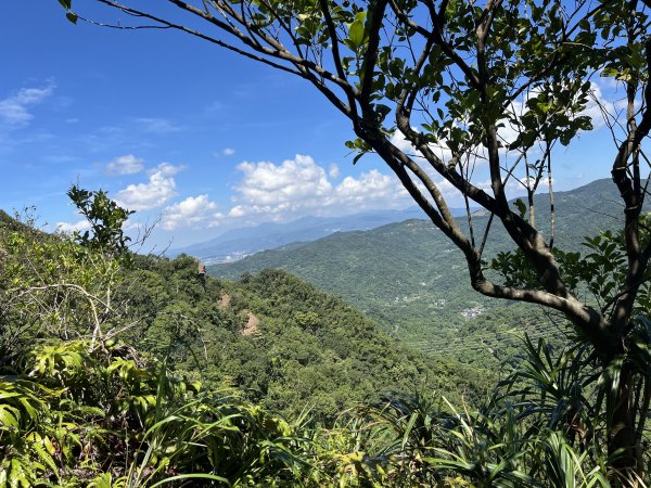 [微笑山線_第九段] 2025_0914 二格山系_天王峰2889546