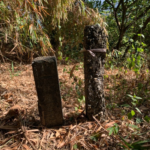 20250315屏東頭崙山-頭崙山西北峰2737213