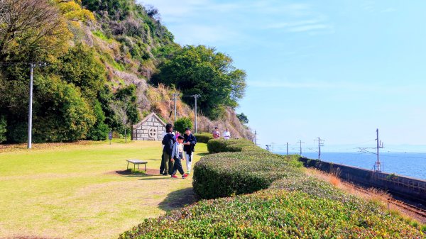 鹿兒島仙巖園3028084