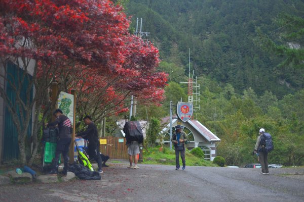 向陽山｜三叉山｜嘉明湖2325002