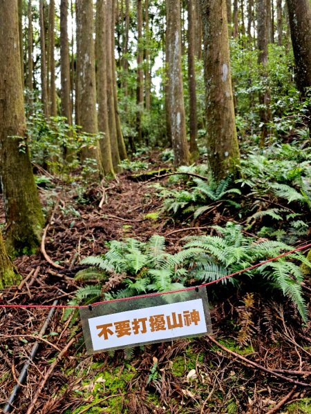 野馬瞰山步道-2025森遊竹縣皮皮獅探險隊2895227