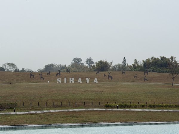 [山海圳_大圳之路_第一段] 2026_0228 茄拔天后宮_南湖口_西拉雅國家風景區3009135