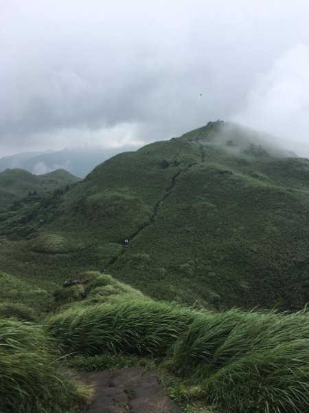 邊緣系山女：楓林橋起登陽明山縱走594394