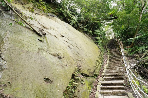 臺北 南港 南港山、拇指山、象、獅、豹、虎、四分里山、茅草埔山2803431