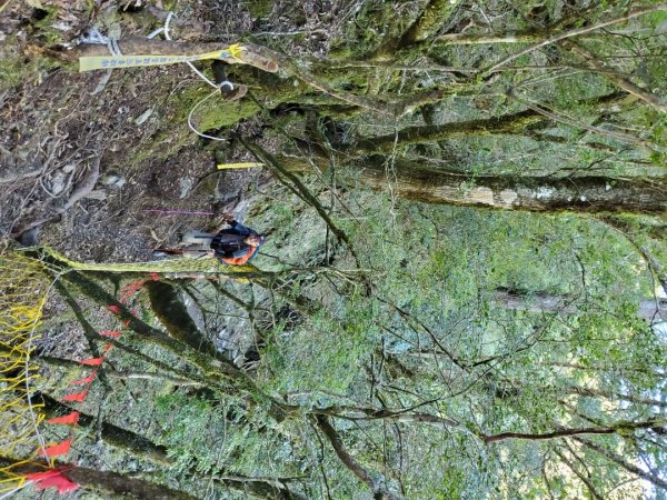 中橫大辣－屏風山1507805