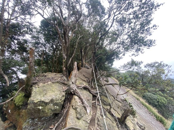 坐公車接駁的神仙縱走2707416