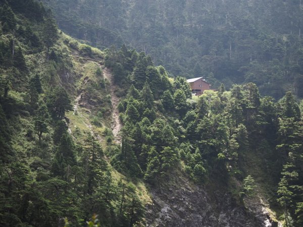 奇萊南華高峰之旅兩天一夜⛰️最受歡迎的新手百岳🏘️1833340