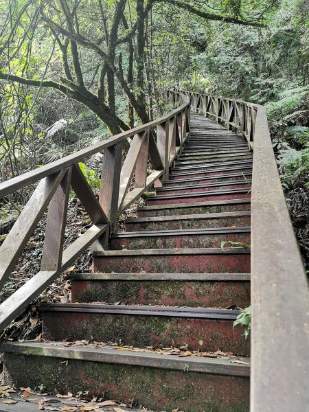 梨山賓館生態環保步道-陡階梯及特色瓦片道1049442