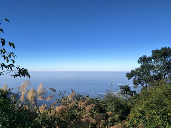 2018 12 25 雲嘉五連峰O型縱走491442