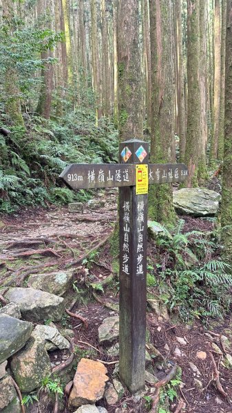 橫沙笛O繞2824581