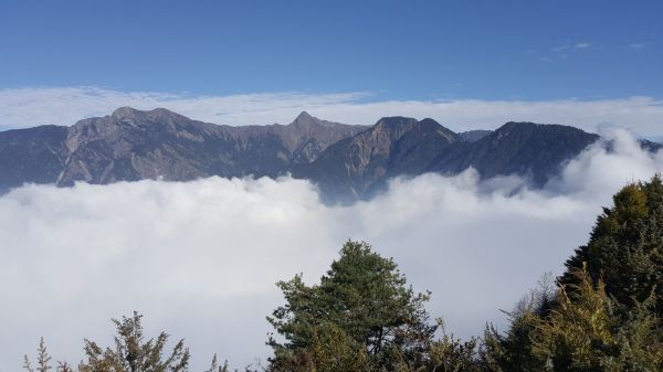 東埔山之滿滿的雲海