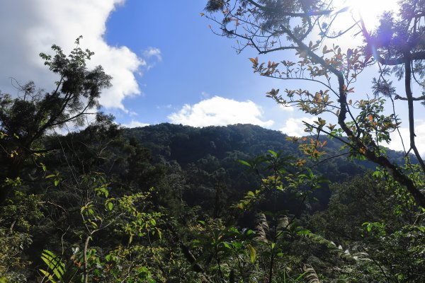 篳路藍縷之直潭山系縱走1233168