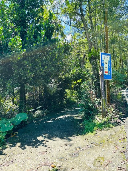 關仔嶺大凍山2845807