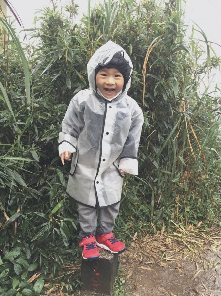 20200411-五分山步道914467