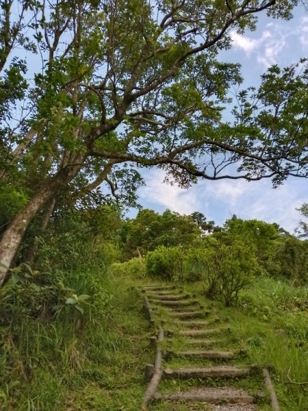 坪林區司公髻尾山+虎寮潭吊橋+粗石斛吊橋+大舌湖步道+漁光派出所2794281