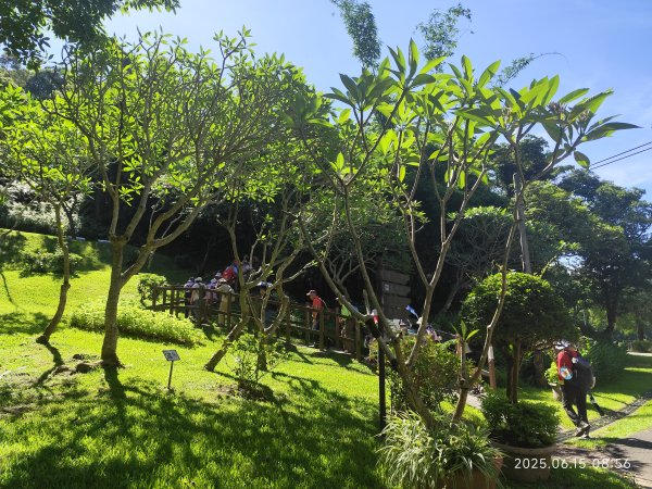 內湖碧湖公園步道、郭子儀紀念堂、獅頭山、大港墘公園、宏匯瑞光廣場2813431