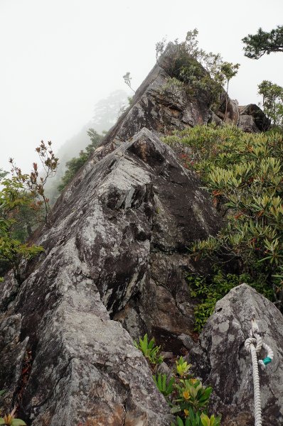 台中和平鳶嘴山600720