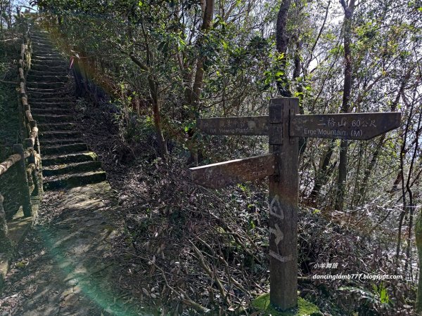 【新北】二格山步道：半小時登頂坐擁大台北2805190