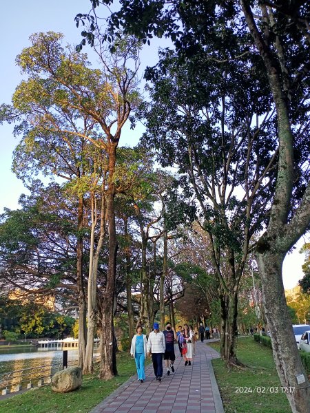 內湖瑞陽公園、碧湖公園、大港墘公園2416880