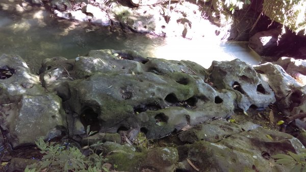 【臺北大縱走7】貓空壺穴、優美的茶香步道804919