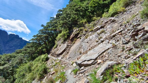 玉山北/西峰（排雲雲海/夕陽/下雨）1496059