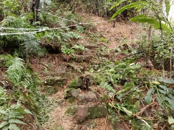 雙溪區艋舺崙古道+新路尾山+大竹林山出雙溪車站2998645