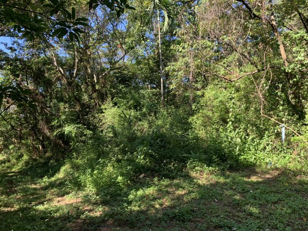 20240706屏東三地山西南峰2546722