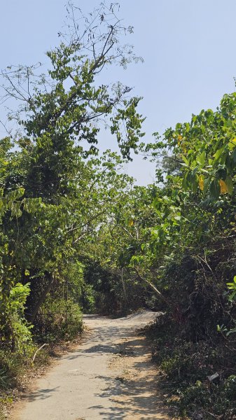 【柴山、壽山、萬壽山，到底哪個才是你！🤣🤣】走一座可以映照出高雄不同時期歷史軌跡的山。3025864