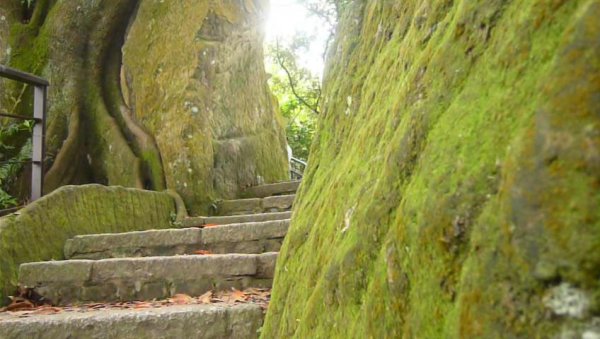 南港山縱走（象山、南港山、姆指山、九五峰）1332261