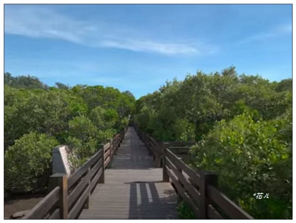 新豐紅樹林木棧步道2707055
