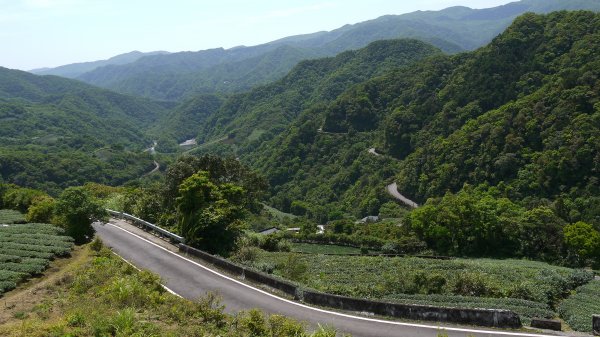 獅公髻尾山登山健行趣（郊山）1577791