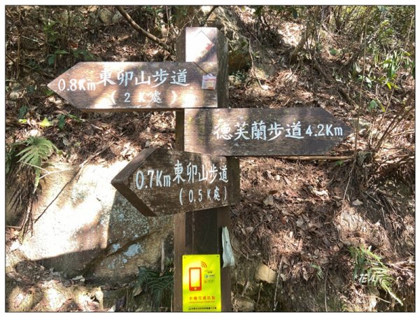 東卯山、東卯山西峰、東卯山西南峰 連走2932828