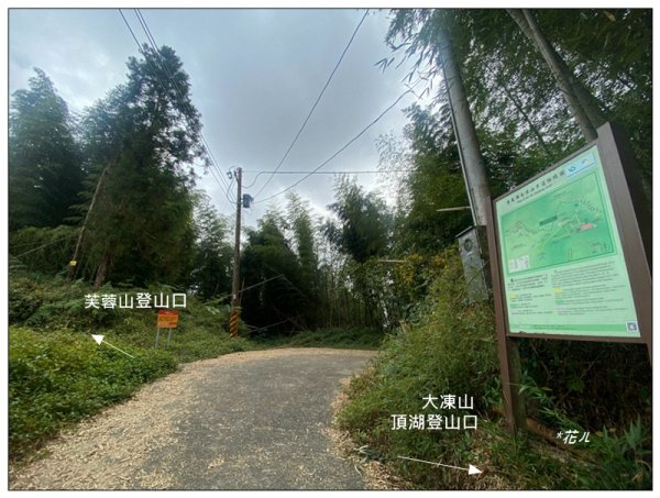 大凍山、頂湖步道 O型ㄧ圈2984160