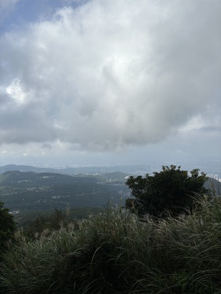 七星山苗圃路線2922636