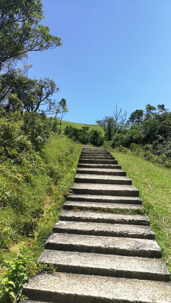 20190714桃源谷步道655093