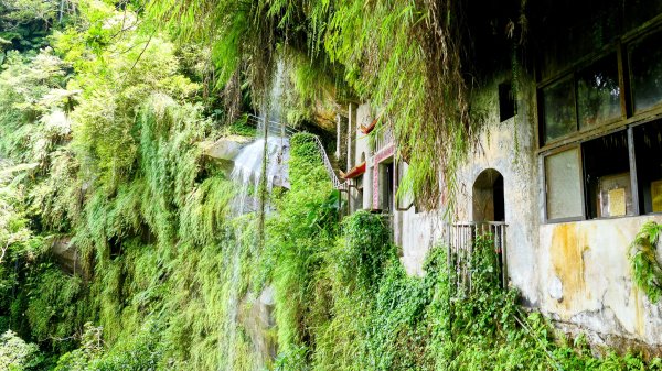 微笑山線銀河洞越嶺段2852840