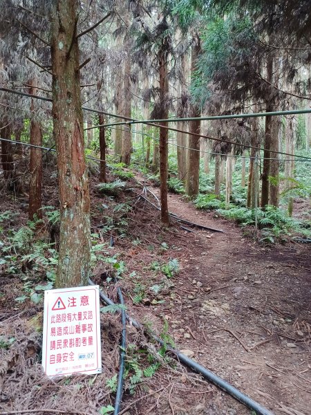 【新竹五峰】迷霧山林。 民都有山登山步道(面托油山)x民都有山北峰2991864