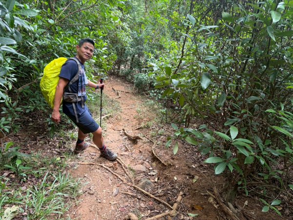 浸水營古道【因為熱門才能變得方便】3003172