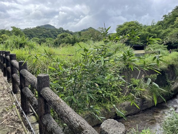 蛇子形古道2511212