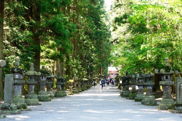 日本 中部 山梨縣 富士山3086304