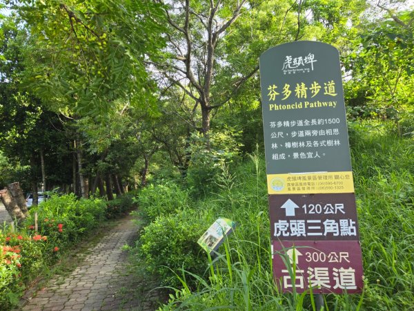 虎頭埤環湖步道（新化虎頭山）2890911