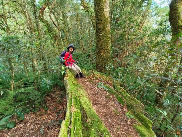 1121125 鳥嘴山縱走貴妃山2363980