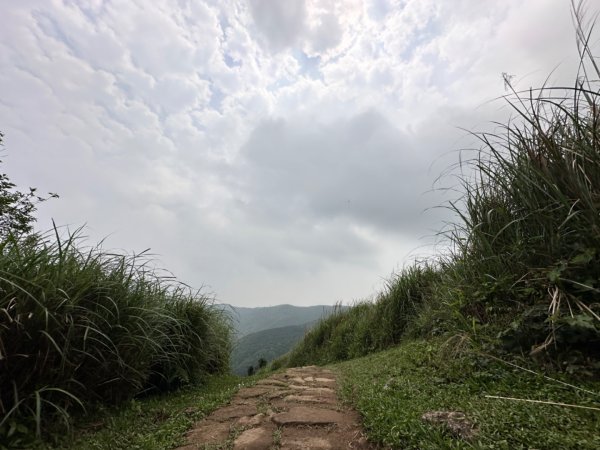 臺北大縱走第三段 小油坑》風櫃嘴2478307